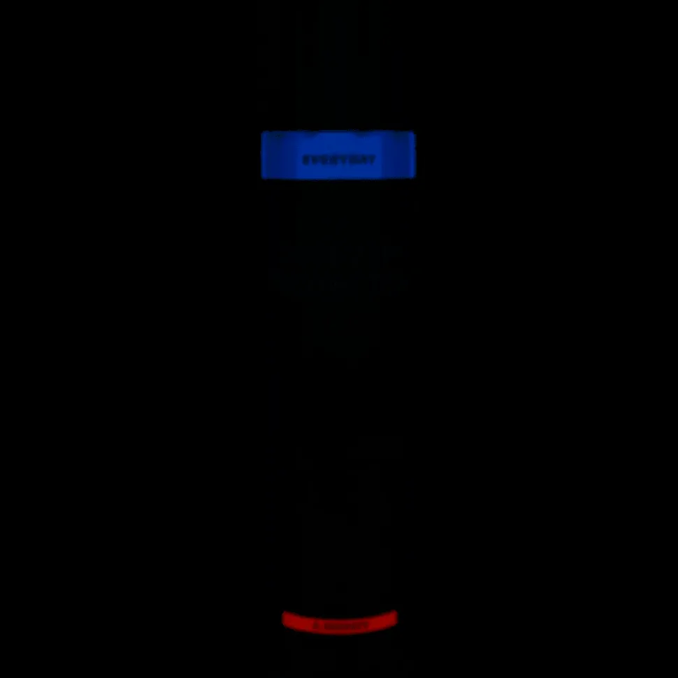 2GO 24SEVEN PROTECTOR 300 ML