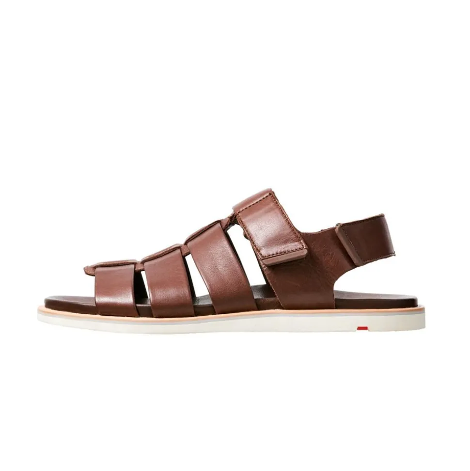 LLOYD ELIMAR Herre Sandal